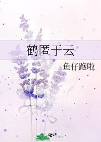 《鹤匿于云》