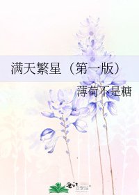 《满天繁星(第一版)》