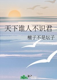 《天下谁人不识君》