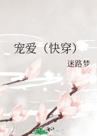 《宠爱(快穿)》