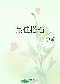《最佳搭档》
