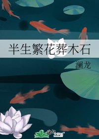 《半生繁花葬木石》