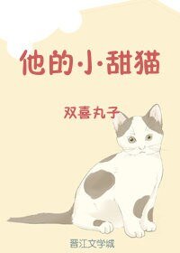 《他的小甜猫》