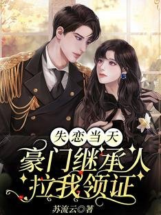 失恋当天，豪门继承人拉我领证