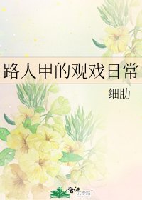 路人甲的观戏日常