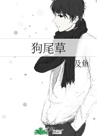 狗尾草