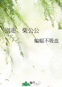 《别走 柴公公》