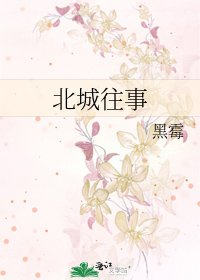 《北城往事》