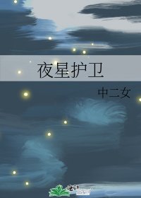 《夜星护卫》