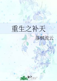 《重生之补天》