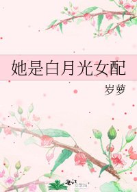 《她是白月光女配》