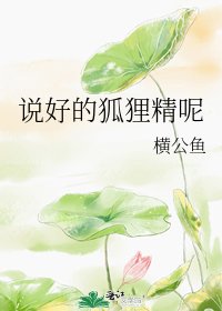 《说好的狐狸精呢》