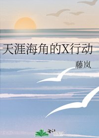 《天涯海角的X行动》