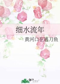 《细水流年》