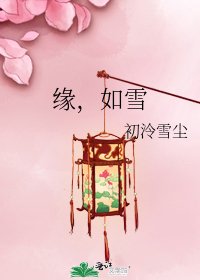 《缘,如雪》