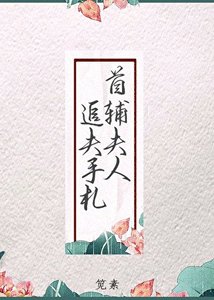 《首辅夫人追夫手札》