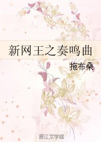 （BL/新网王同人）新网王之奏鸣曲