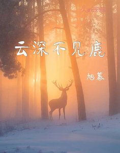 《云深不见鹿》