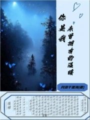 你是我未曾拥有的温暖