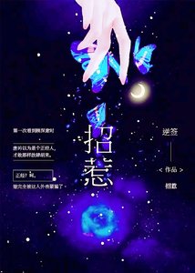 《招惹》