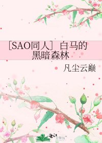 ［SAO同人］白马的黑暗森林