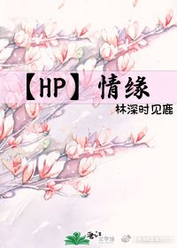 《HP情缘》