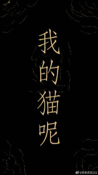《我的猫呢?》