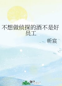 《(柯南同人)不想做侦探的酒不是好员工》