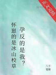 怀崽的是清冷美人，宿敌孕反？