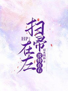 《(HP同人)HP:扫帚在左,波特在右》