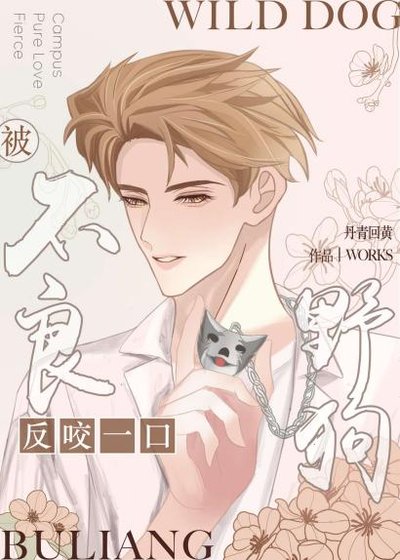 被不良野狗反咬一口