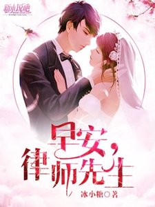 《早安,律师先生》