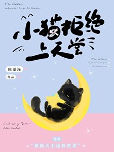 《小猫拒绝上天堂》