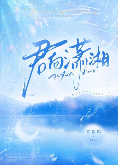 《君向潇湘》