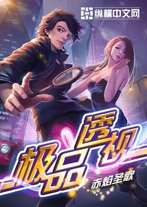 《极品神眼/极品透视》