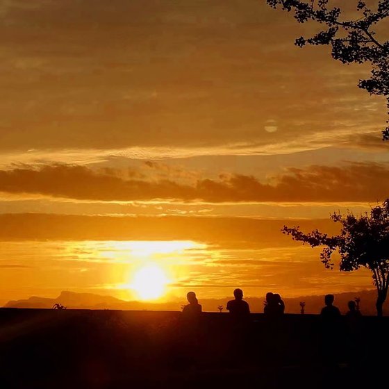 《几许微风拂过》