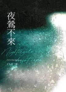 《夜莺不来》