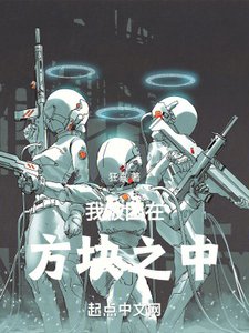 《我被困在方块之中》