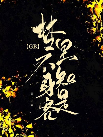 梦里不知身是客GB