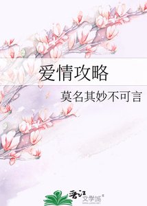 《爱情攻略》