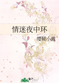 《情迷夜中环》