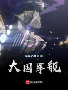 《大国 军舰》