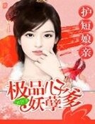 《我家娘亲很护短/护短娘亲:极品儿子妖孽爹》