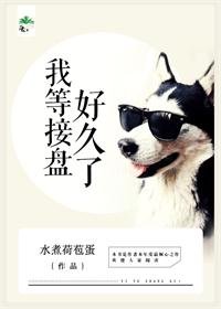 二婚嫁给霸道老总/我等接盘好久了