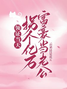 《领证当天拐个亿万富豪当老公》