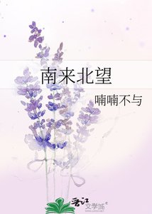 《南来北望》