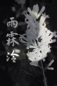 《雨霖泠》