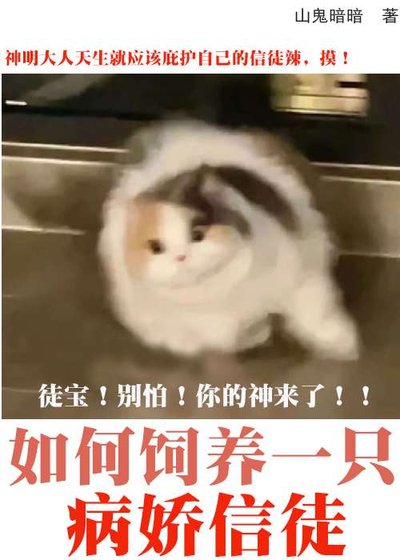 《如何饲养一只疯批信徒》