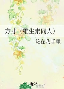 《方寸(维生素同人)》