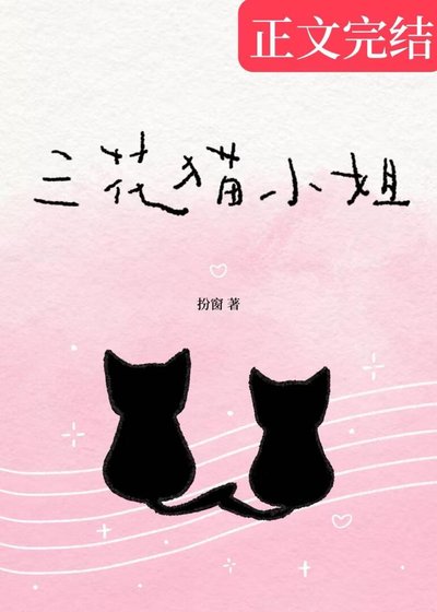 《三花猫小 姐》